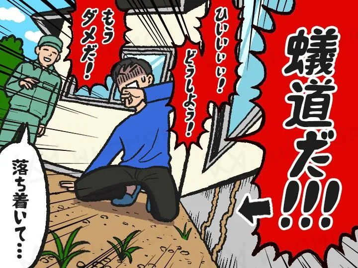 スライダー画像