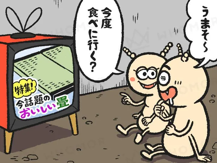 スライダー画像